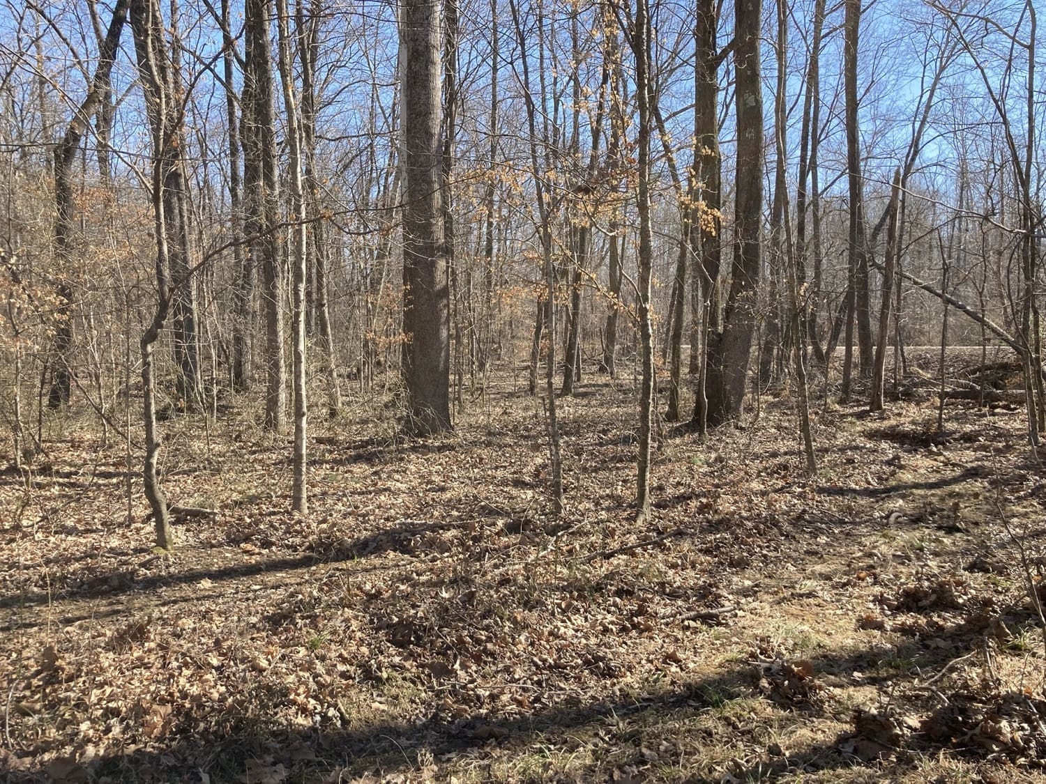 Owner Financed Land in Tennessee | M Land, Inc