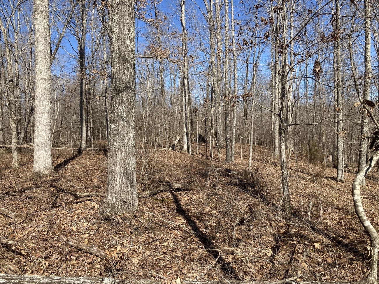 Owner Financed Land in Tennessee | M Land, Inc